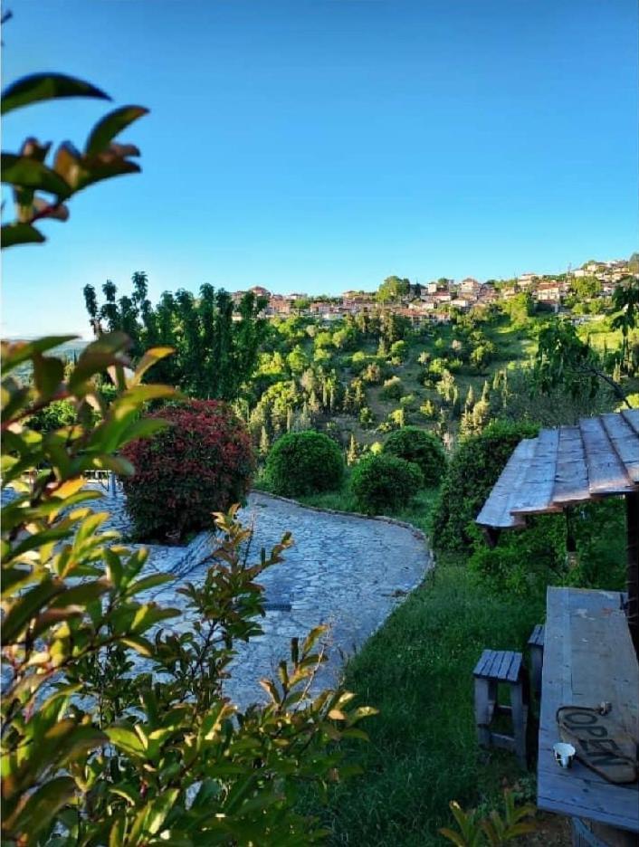Agnanti Zitsas Hotel Екстер'єр фото